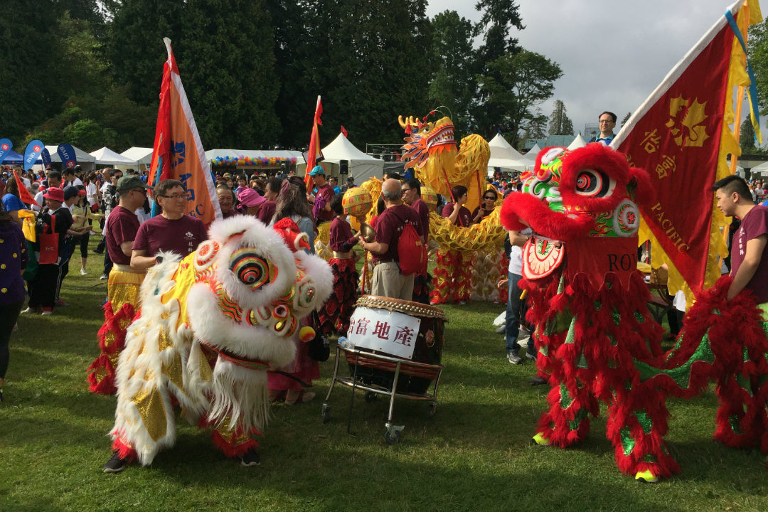 2016 SUCCESS Walk with the Dragon
