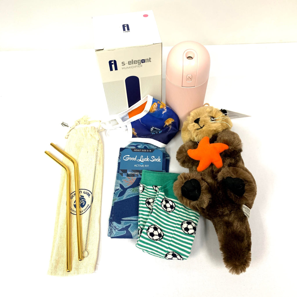 1. Mini Pink Humidifier X Aquarium Package (with Beaver Doll)