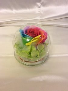 Rainbow Rose Soap with Glass Container
