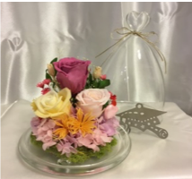 Graduation Preserved Flower Set