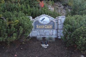 Whistler 2 Bed 2 Bath Ravencrest Condo Ski Package