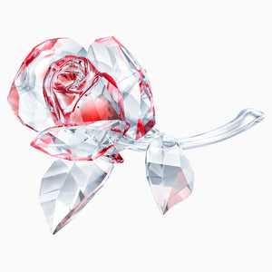 SWAROVSKI Blossoming Rose, Red