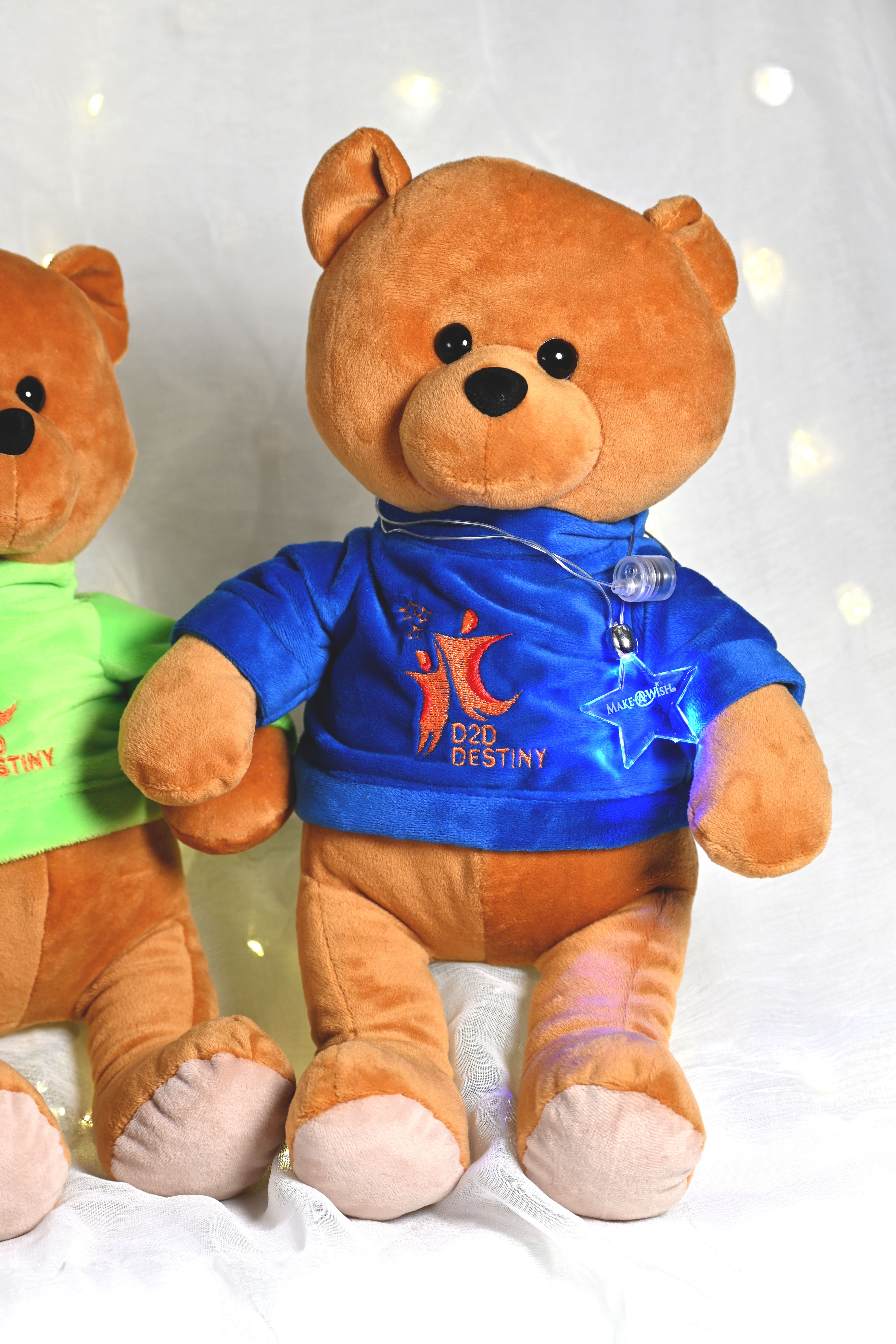 D2D Destiny Navy Blue Wish Bears