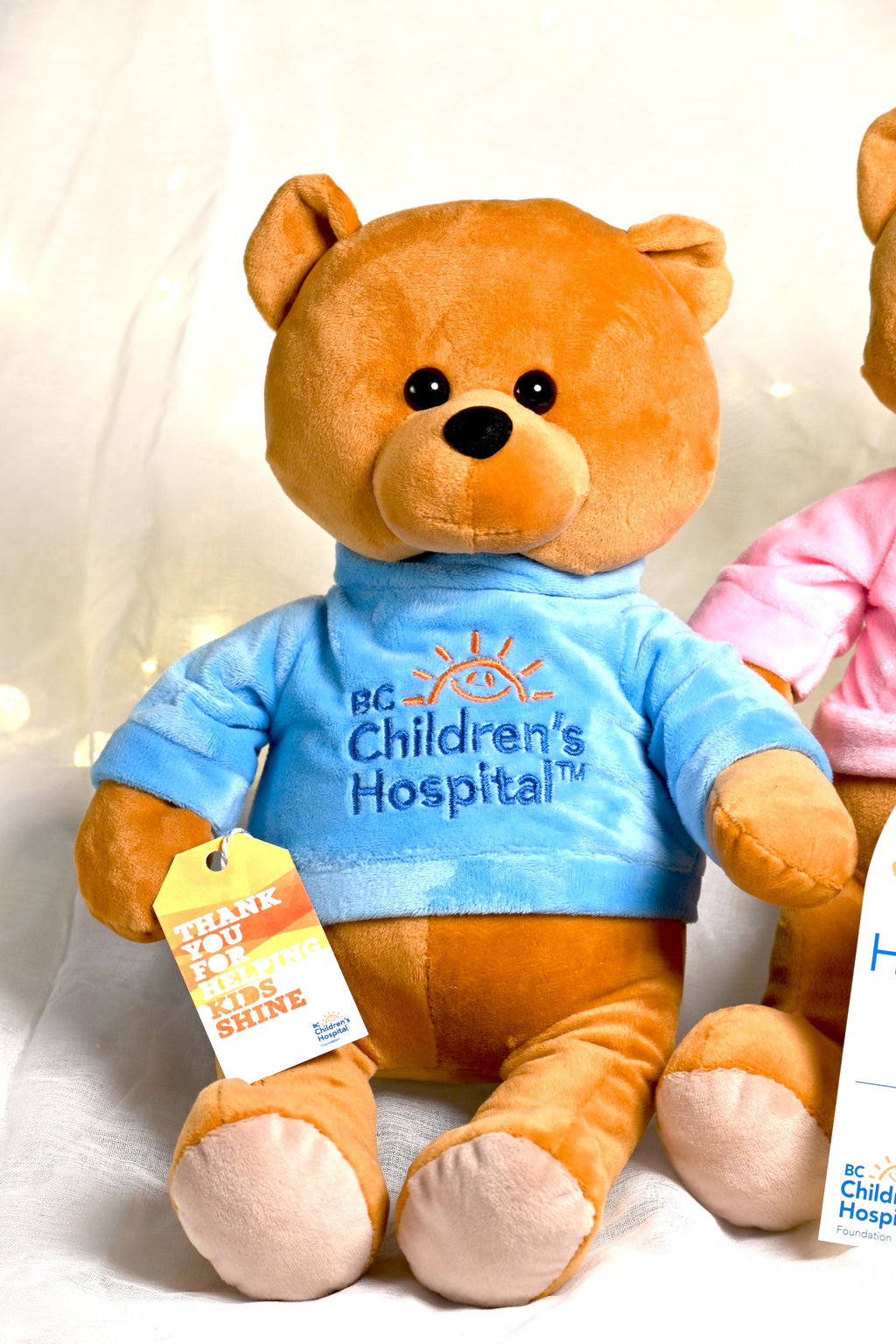 BC Children's Hospital Baby Blue Wish Bear
